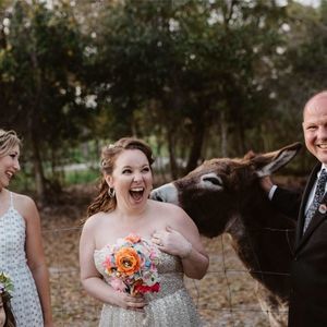 Meet your Posher, Rosie